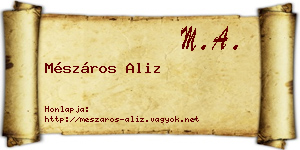 Mészáros Aliz névjegykártya