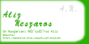 aliz meszaros business card